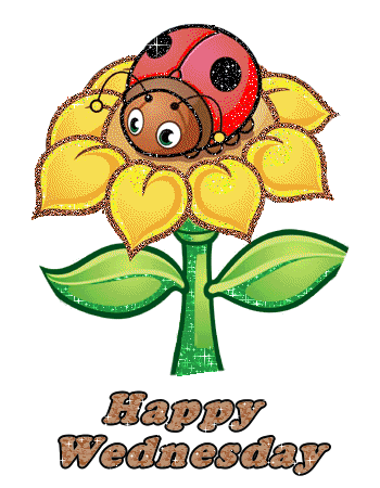 Happy Wednesday Glittering Flower Image