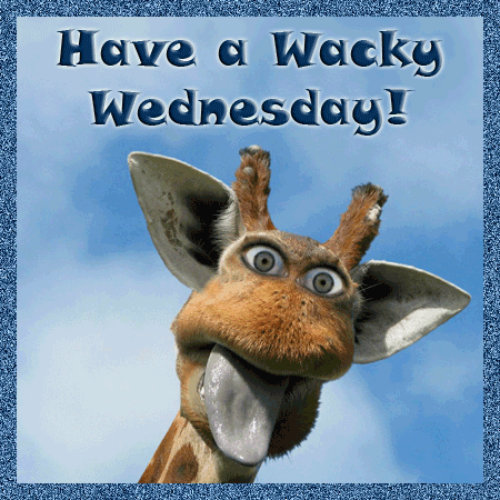 Have A Wacky Wednesday