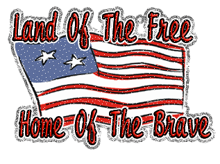 America Is Land Of The Free And Brave People