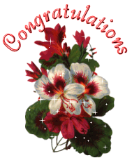 Congratulation With Beautiful Bouquet