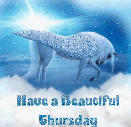 Have A Beautiful Thursday