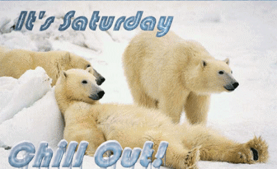 Its Saturday Chill Out Polar Bears