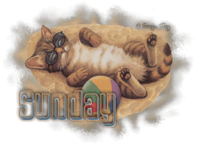 Sunday Image With Cute Sleeping Cat