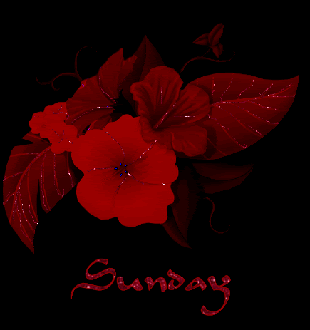 Sunday Red Flower Glitter