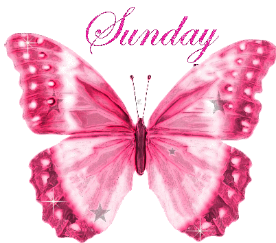 Sunday Shining Butterfly Image