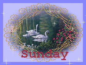 Sunday With Swan Sparkling Image