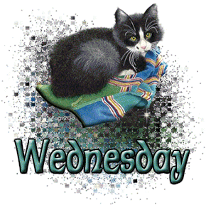 Wednesday Cat Glitter