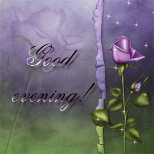 Good Evening With Shining Purple Rose