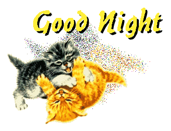 Good Night Shining Cat Glitter
