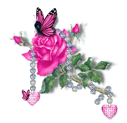 Beautiful Butterfly On The Rose With Sparkling Pearl