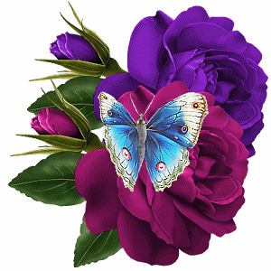 Beautiful Butterfly With Roses