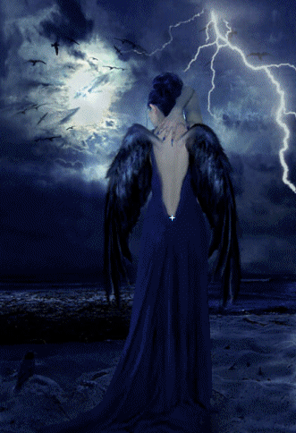 Black angel With Twinkling Wings