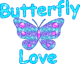 Butterfly Love Glitter