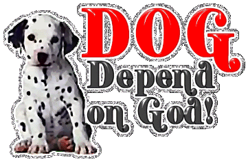Dog Depend On God