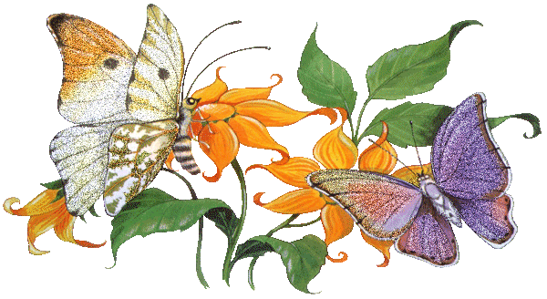 Glowing Butterflies Graphic