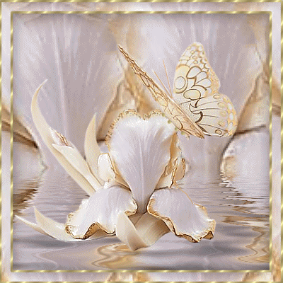 Golden White Butterfly Image