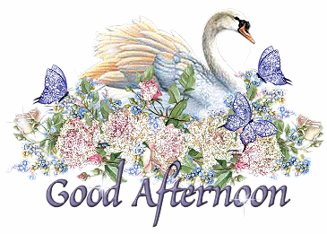 Good Afternoon Swan Glitter