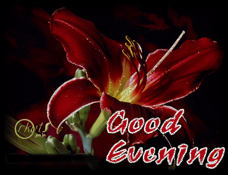 Good Evening Red Flower Glitter