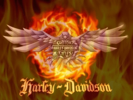 Harley Davidson Lightening Bird
