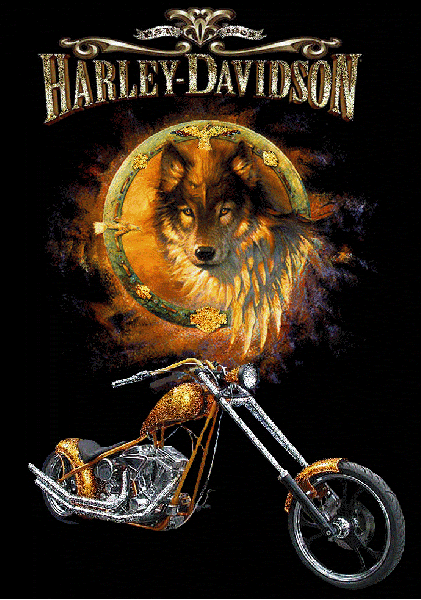 Splendid Harley Davidson