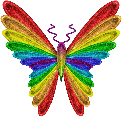 Beautiful Rainbow Butterfly Graphic