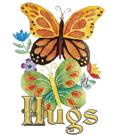 Butterflies Hugs