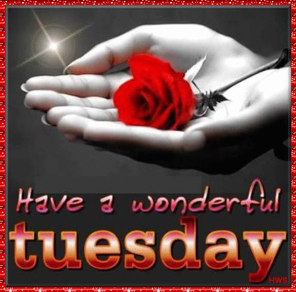Have A Wonderful Tuesday