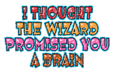 I Thought The Wizard Promised You A Brain