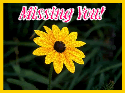 Missing You !