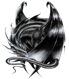 Black Dragon Graphic