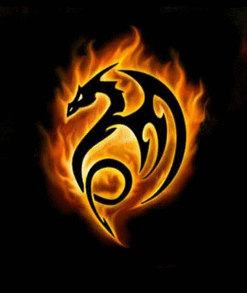 Burning Dragon Graphic