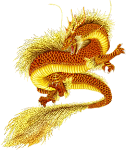 Golden Dragon Graphic