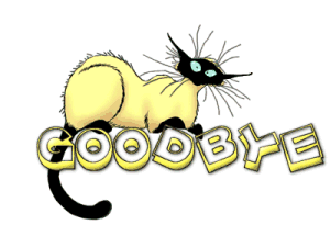 Good Bye Cat Graphic