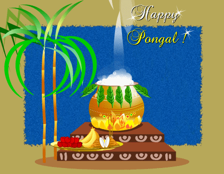 Amazing Pongal Graphic
