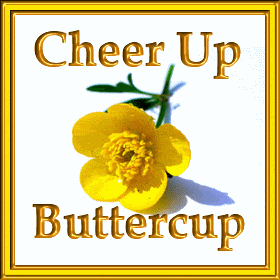 Cheer Up Butter Cup