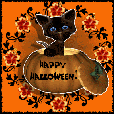 Happy Halloween Cat Graphic