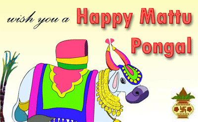 Happy Mattu Pongal Graphic