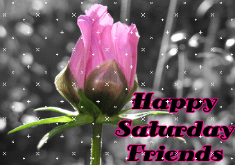 Happy Saturday Friends Graphic