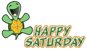 Happy Saturday Turtle Graphic