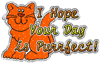 I Hope Your Day Is Purrfect