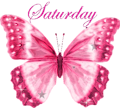 Pink Butterfly Saturday Graphic