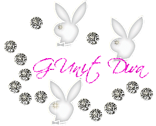 Playboy Diva Graphic