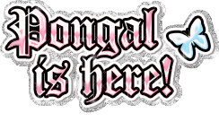 Pongal Is Here Graphic 