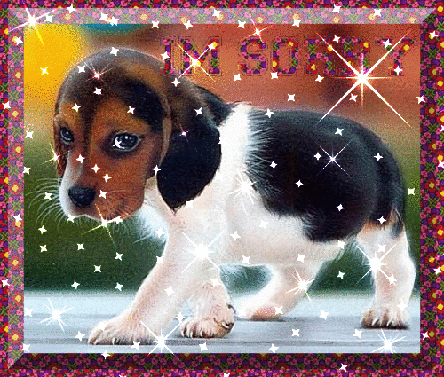 I Am sorry Puppy Graphic