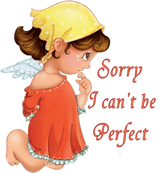 Sorry I Can't Be Perfect