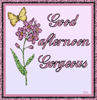 Good Afternoon Gorgeous