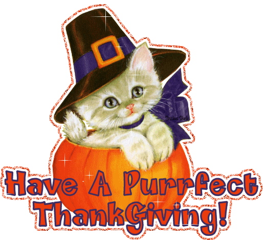 Have A Purrfect Thanksgiving