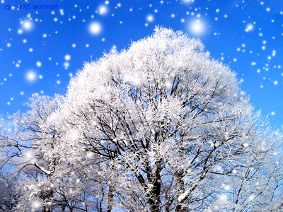 Snow Tree Graphic