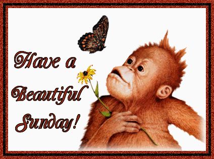 Have A Beautiful Sunday !-g123