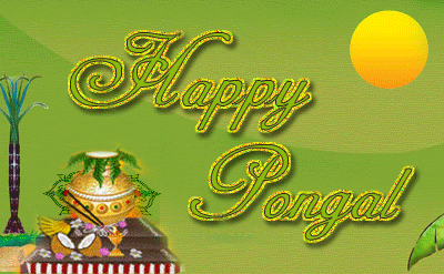 Lovely Pongal Image-G123121